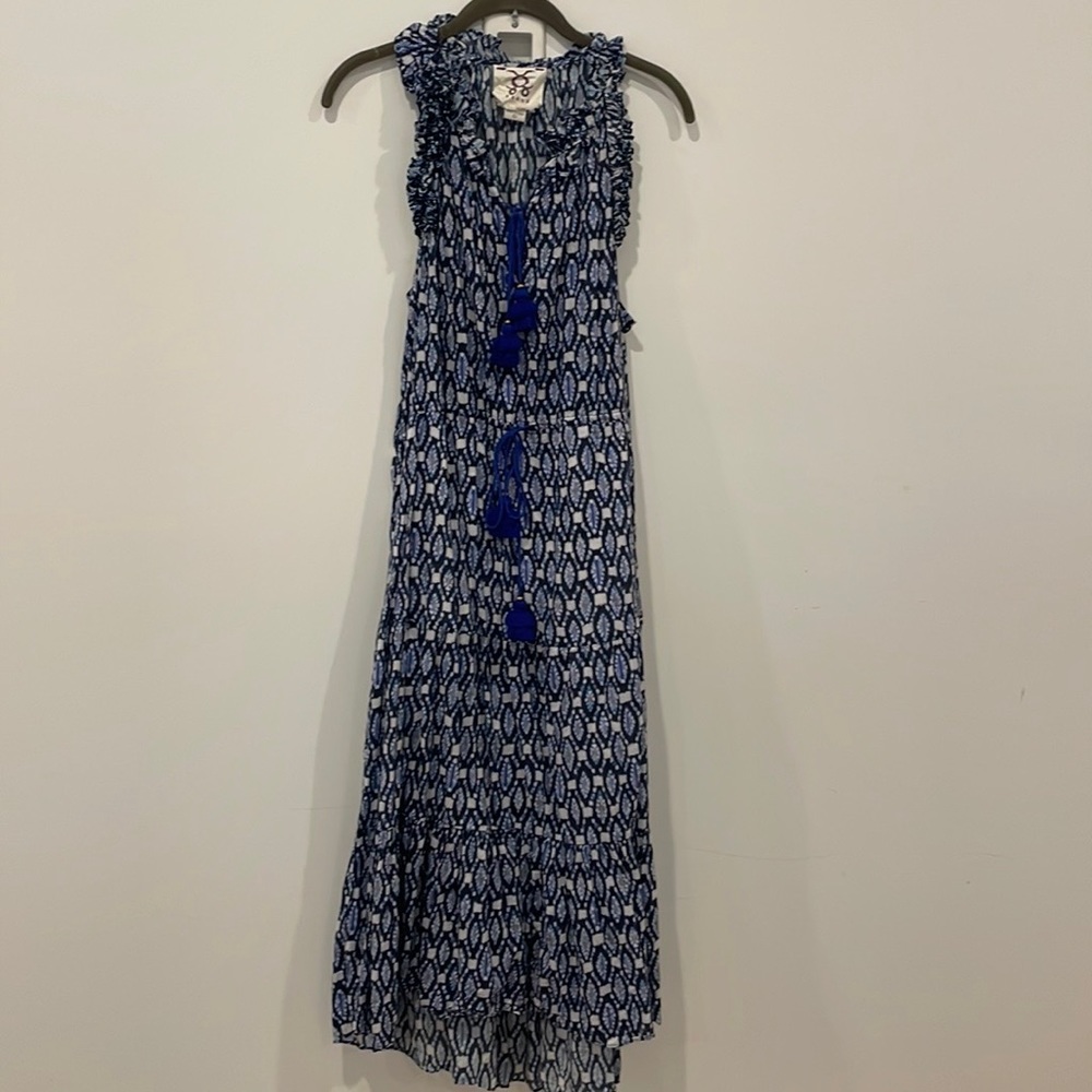 Figue Blue and White Gabriella Midi dress